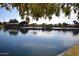 A tranquil community pond with lush foliage, offering a peaceful waterfront view with community buildings at 43344 W Oster Dr, Maricopa, AZ 85138
