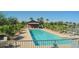 A stunning swimming pool with palm trees, lounge chairs, and well-maintained landscaping at 43344 W Oster Dr, Maricopa, AZ 85138
