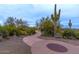 Desert walking path with native plants, a winding concrete path, and picturesque landscaping at 12845 W Milton Dr, Peoria, AZ 85383