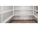 Spacious walk-in pantry with ample shelving for organized storage at 16550 W Creedance Blvd, Surprise, AZ 85387
