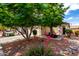 Well-manicured front yard with a large shade tree and colorful flowers at 16848 W Rimrock St, Surprise, AZ 85388