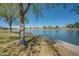 The lake is surrounded by green spaces, sidewalks, and mature trees, perfect for scenic walks at 1718 S Longmore -- # 95, Mesa, AZ 85202