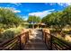 Beautiful community park featuring lush greenery, a walking path, and charming bridge at 2038 W Whisper Rock Trl, Phoenix, AZ 85085