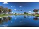 Scenic pond with a fountain and lush landscaping, providing a tranquil and picturesque community amenity at 4306 E Dragoon Cir, Mesa, AZ 85206