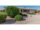 Lush, verdant landscaping graces the front yard of this well-kept home, offering excellent curb appeal at 11529 E Lindner Ave, Mesa, AZ 85209