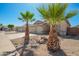 Charming single-story home with desert landscaping, palm trees, and spacious three-car garage at 16817 W Bradford Way, Surprise, AZ 85374