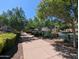 Picturesque community walkway lined with lush trees and landscaping, offering a peaceful stroll at 1814 E Bridgeport Pkwy # 103, Gilbert, AZ 85295