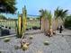 Serene backyard featuring desert plants, a palm tree, and decorative rock landscaping at 2 W Pasture Canyon Dr, San Tan Valley, AZ 85143