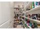 Walk-in pantry offers ample storage space with shelving, perfect for organized and convenient kitchen essentials at 22290 E Escalante Rd, Queen Creek, AZ 85142