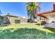 Relaxing backyard with grassy area, mature tree, privacy fence, and shaded patio at 2346 E Jasmine St, Mesa, AZ 85213