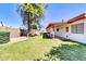 Expansive backyard with lush green lawn, mature shade tree, and block fence at 2346 E Jasmine St, Mesa, AZ 85213