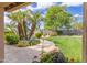 Beautiful backyard with a stone path, lush green lawn, mature trees, and vibrant landscaping at 2920 W Michigan Ave, Phoenix, AZ 85053