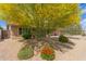 Well-maintained front yard featuring colorful landscaping, mature trees, and decorative rock at 2920 W Michigan Ave, Phoenix, AZ 85053