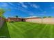 Expansive backyard features a lush, well-manicured lawn with mature trees and privacy fence at 2936 E Willetta St, Phoenix, AZ 85008