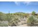 Scenic desert landscape view, showcasing arid plants and distant mountain views, creating a tranquil backdrop at 36601 N Mule Train Rd # D1, Carefree, AZ 85377