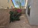 Sideyard with gravel and flowering bushes between block fence and home at 4613 W Fawn Dr, Laveen, AZ 85339