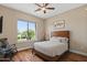 Bright bedroom featuring a ceiling fan and large windows with a view of mature trees at 5755 S Pearl Dr, Chandler, AZ 85249