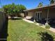 Backyard with a covered patio, a lawn and mature trees at 909 W Mesquite St, Chandler, AZ 85225