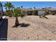 Charming single story home with desert landscaping and mature palm trees in front yard at 909 W Mesquite St, Chandler, AZ 85225
