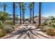Pool entrance framed by tall palm trees leading to the community pool area at 9571 N 117Th St, Scottsdale, AZ 85259