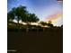 A serene backyard view featuring lush trees silhouetted against a colorful sunset sky at 1125 E Milada Dr, Phoenix, AZ 85042
