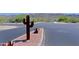 Decorative desert landscaping at the street corner and mountains in the background at 1125 E Milada Dr, Phoenix, AZ 85042