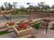 Community tennis court with manicured flower beds and well maintained fencing at 12679 W Lowden Rd, Peoria, AZ 85383