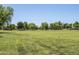 Expansive community park featuring lush green spaces and mature trees, ideal for relaxing and outdoor activities at 1343 W Roadrunner Dr, Chandler, AZ 85286