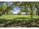 Expansive community park offering wide open green space with mature trees, perfect for recreational activities and relaxation at 1343 W Roadrunner Dr, Chandler, AZ 85286