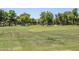 Beautiful community park offering green spaces and mature trees, creating a serene and inviting place at 1343 W Roadrunner Dr, Chandler, AZ 85286