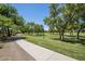 Beautiful community park offering walking trails through green spaces with mature trees and sunny skies at 1343 W Roadrunner Dr, Chandler, AZ 85286