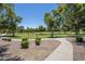 Well-maintained community park with green grass, mature trees, walking paths and inviting common spaces at 1343 W Roadrunner Dr, Chandler, AZ 85286