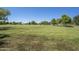 Inviting community park featuring an expansive green field, mature trees and neighborhood surroundings at 1343 W Roadrunner Dr, Chandler, AZ 85286