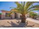 A beautifully landscaped front yard with decorative gravel, mature palms, and a well-maintained lawn at 1343 W Roadrunner Dr, Chandler, AZ 85286