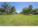 Expansive green park space with mature trees, offering a serene outdoor environment at 1343 W Roadrunner Dr, Chandler, AZ 85286
