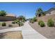 Sidewalk leading to home surrounded by lush landscaping and neighborhood views at 1343 W Roadrunner Dr, Chandler, AZ 85286
