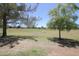 Park-like green space with a mix of shade trees and green grass at 16233 N 32Nd Ave, Phoenix, AZ 85053