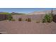 Landscaped backyard with mature plants, shrubbery, and block wall at 16500 W Caldwell St, Goodyear, AZ 85338