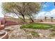 Expansive backyard featuring a brick oven, lush lawn, mature trees, and charming string lights at 20626 N 5Th Ave, Phoenix, AZ 85027