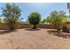 Desert-landscaped backyard offers privacy and space for outdoor enjoyment at 21621 N 48Th Pl, Phoenix, AZ 85054