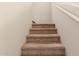 Carpeted stairs lead to the next level, providing a safe and comfortable transition between floors at 2893 E Cherry Hills Dr, Chandler, AZ 85249