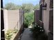 Private courtyard with desert plants and a secure entry gate at 3237 E Fremont Rd, Phoenix, AZ 85042