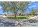Corner lot home with mature trees, manicured lawn and sidewalk at 4061 E Hope St, Mesa, AZ 85205