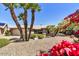 Charming home with desert landscaping, mature palm trees, and vibrant bougainvillea at 9226 W Topeka Dr, Peoria, AZ 85382