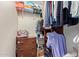 Walk-in closet with shelving, hanging clothes, and a dresser at 931 S 91St Pl, Mesa, AZ 85208