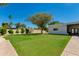 Spacious backyard with manicured lawn, mature landscaping, and a serene environment at 13238 N 78Th St, Scottsdale, AZ 85260