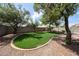 Lush green backyard with mature trees and landscaping, enclosed by a block wall fence at 14262 N 142Nd Ln, Surprise, AZ 85379