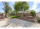 Spacious backyard with a concrete patio, well-maintained lawn, mature trees, and privacy fencing at 14262 N 142Nd Ln, Surprise, AZ 85379