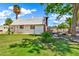 Spacious backyard with mature trees and a well-kept lawn, perfect for outdoor activities and relaxation at 1451 E Brown Rd, Mesa, AZ 85203