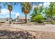 Wide backyard featuring mature palm trees and an in-ground swimming pool ready for renovation at 1451 E Brown Rd, Mesa, AZ 85203